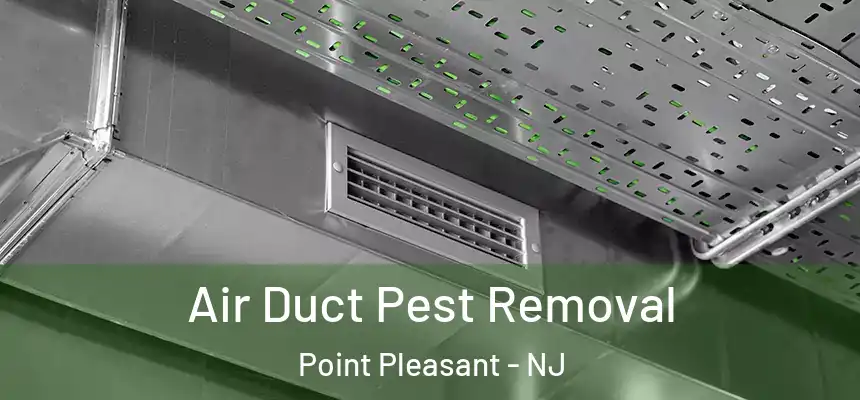  Air Duct Pest Removal Point Pleasant - NJ