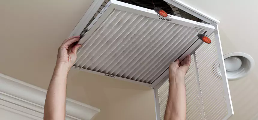 Our Insect Removal from Air Ducts Services in Point Pleasant, NJ
