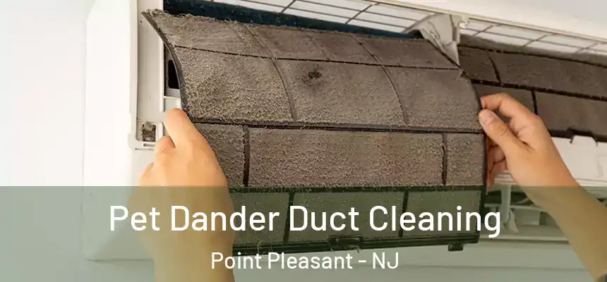  Pet Dander Duct Cleaning Point Pleasant - NJ