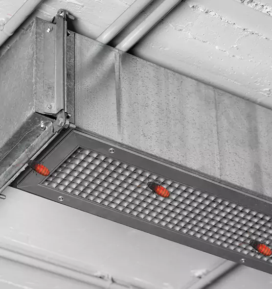 Affordable Insect Removal from Air Ducts in Point Pleasant, NJ