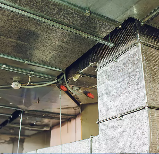 Why Homeowners & Businesses Trust Us in Point Pleasant, NJ?