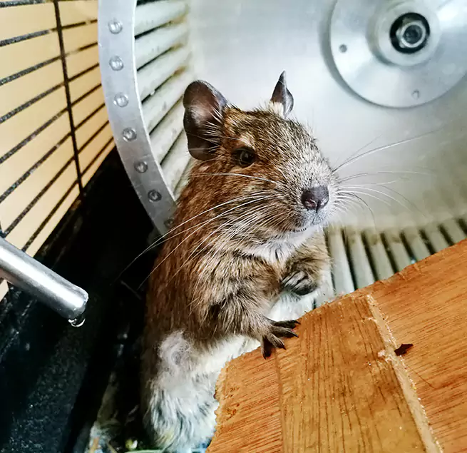 Why Homeowners & Businesses Trust Us Point Pleasant, NJ?